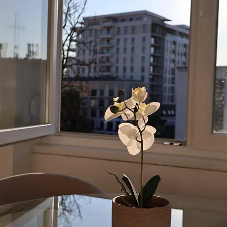 Lany * Banja Luka